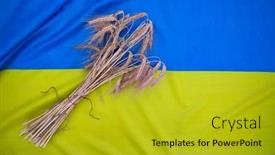  Presentation with export - Presentation design consisting of grain-harvest-ukrainian-flag-ears background and a gold colored foreground