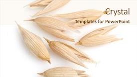  Presentation with oat - Audience pleasing PPT theme consisting of grain of oats in closeup backdrop and a lemonade colored foreground