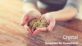  Presentation with rice grains - PPT layouts consisting of whole grains - cooking and home concept background and a coral colored foreground