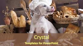  Presentation with chef - PPT theme having food grains - whippet puppy in the chef's background and a tawny brown colored foreground