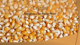  Presentation with grains - Amazing PPT theme having neural paperweight series background composition of abstract shapes colors and elements to complement your layouts on the subject of mind virtual reality technology science and design backdrop and a ocean colored foreground