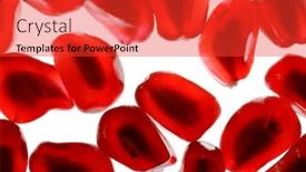  Presentation with grains - Presentation theme having grains of pomegranate macro isolated over white background background and a red colored foreground