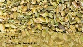  Presentation with cereal grains - PPT theme featuring grains of uncooked freekeh an old middle eastern cereal made by fire-roasting immature wheat grains the cereal has a very low glycemic index and is high in protein fibre and minerals background and a yellow colored foreground