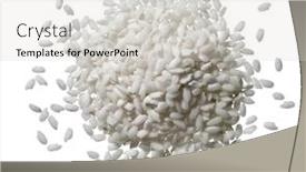 Presentation with rice grains - Slide set with grains-of-white-rice-isolated background and a light gray colored foreground