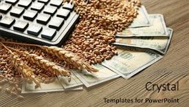  Presentation with grains - Beautiful presentation theme featuring grains on wooden background agricultural backdrop and a coral colored foreground