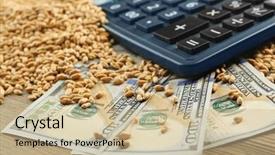  Presentation with grains - Amazing presentation theme having grains on wooden background agricultural backdrop and a  colored foreground