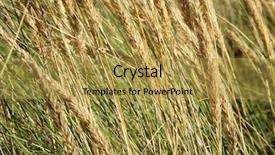  Presentation with scouts wallpaper - Slides enhanced with gramin es - beautiful wallpaper image with many background and a  colored foreground