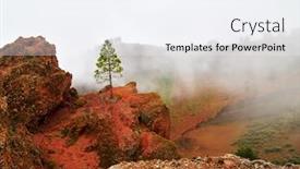  Presentation with forest morning - Presentation theme enhanced with gran-canaria-canary-islands-pine background and a sky blue colored foreground