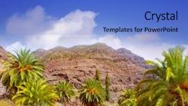  Presentation with palm tree - PPT layouts enhanced with gran canaria canary palm tree mountains phoenix canariensis background and a teal colored foreground