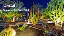  Presentation with flora and fauna - Slide set with gran canaria island at night background and a  colored foreground