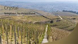  Presentation with vineyard - Theme featuring grand-cru-vineyard-and-chapel background and a light blue colored foreground