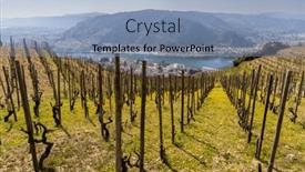  Presentation with vineyard - Slides having grand-cru-vineyard-and-chapel and a light blue colored foreground