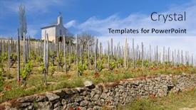  Presentation with vineyard - Slides having grand-cru-vineyard-and-chapel and a light blue colored foreground