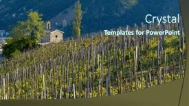  Presentation with vineyard - Presentation consisting of grand-cru-vineyard-and-chapel background and a ocean colored foreground