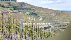  Presentation with vineyard - Cool new presentation design with grand-cru-vineyard-l-hermitage backdrop and a gray colored foreground