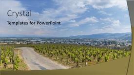  Presentation with vineyard - PPT theme having grand-cru-vineyard-tain-l background and a light blue colored foreground