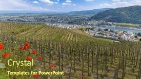  Presentation with vineyard - Presentation enhanced with grand-cru-vineyard-tain-l and a tawny brown colored foreground