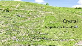  Presentation with vineyards - Slides enhanced with grand cru vineyards cote rotie background and a mint green colored foreground