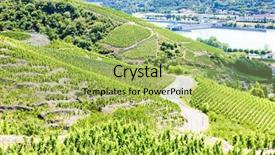  Presentation with vineyards - Cool new slides with vineyards near ampuis cote roti backdrop and a yellow colored foreground