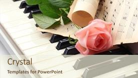  Presentation with 18th birthday rose gold - PPT theme enhanced with eurasian sparrowhawk with blue skies in the background background and a light gray colored foreground