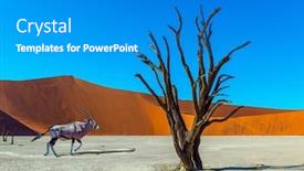  Presentation with orange and black backrgound - PPT theme having grand-trip-to-namibia-namib background and a teal colored foreground