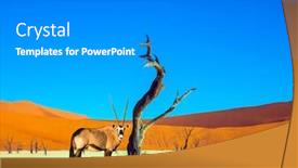  Presentation with tourism - Beautiful slides featuring grand-trip-to-namibia-namib backdrop and a gray colored foreground