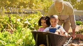  Presentation with vegetable garden - Presentation theme having grandchildren-pushed-in-barrow background and a gold colored foreground