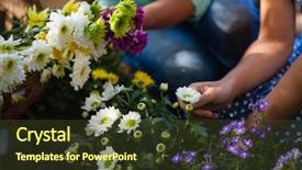  Presentation with power of attitude image - Beautiful presentation design featuring granddaughter and grandmother plucking flower backdrop and a  colored foreground