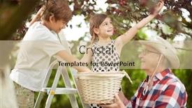  Presentation with grandfather - Amazing presentation theme having grandfather-and-grandchildren-picking-cherries backdrop and a soft green colored foreground