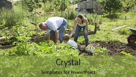  Presentation with community day - Slide deck having vocal disorder - printed diagnosis background and a lemonade colored foreground.