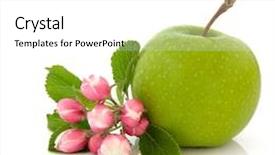  Presentation with apple flower - Slide set having granny-smith-green-apple-variety background and a white colored foreground