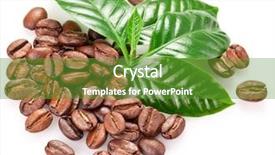  Presentation with coffee beans - Audience pleasing slide deck consisting of economics - businessman drawing graphics a growing backdrop and a light gray colored foreground