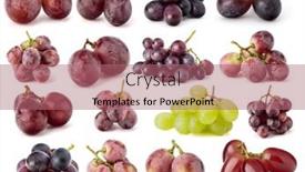  Presentation with grape - Presentation theme with grape-berries-collection-isolated background and a coral colored foreground
