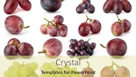  Presentation with grape - PPT layouts with grape-berries-collection-isolated background and a  colored foreground