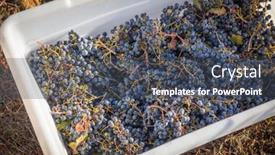  Presentation with grape - Presentation theme enhanced with grape-bushels-in-crates-during background and a dark gray colored foreground