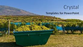  Presentation with hungary - PPT theme featuring grape-collection-at-vintage-time background and a light blue colored foreground