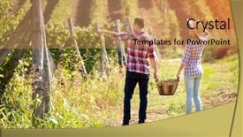  Presentation with walking - Beautiful slide deck featuring grape harvest - back view of young couple backdrop and a coral colored foreground