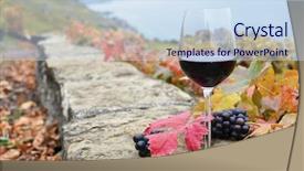 Presentation with vineyard - Beautiful theme featuring grape harvest - glass of red wine backdrop and a  colored foreground