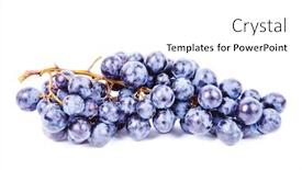  Presentation with grape - Audience pleasing theme consisting of grape on white background backdrop and a white colored foreground