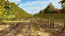  Presentation with plantation - Slide deck consisting of grape plantation in the city background and a tawny brown colored foreground