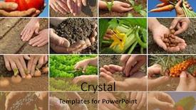  Presentation with industry - Cool new slide deck with industry collage - hands of farmer in action backdrop and a coral colored foreground