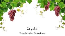  Presentation with vine - Presentation theme having grape vine - grapevine border isolated on white background and a white colored foreground