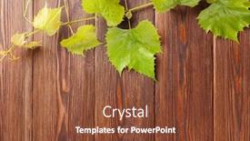  Presentation with table grape - Cool new slide deck with rustic vines - grape vine on wooden table backdrop and a tawny brown colored foreground