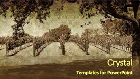  Presentation with oak tree - PPT theme with grapes border - oak tree and winery background and a tawny brown colored foreground