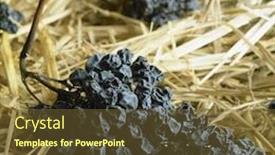  Presentation with straw - Audience pleasing PPT theme consisting of grapes-drying-for-straw-wine backdrop and a tawny brown colored foreground