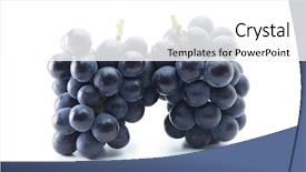  Presentation with grape vine black grapes - Audience pleasing theme consisting of grapes giant mountain grapes upright backdrop and a white colored foreground