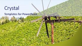  Presentation with vineyard - Slide set having grapes-in-the-vineyard background and a sky blue colored foreground