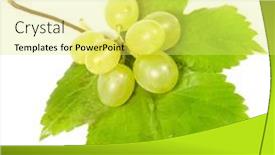  Presentation with grape vine wine grapes - Theme with grapes-isolated-on-white background and a yellow colored foreground