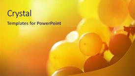  Presentation with grapevine - Amazing slides having grapes on grapevine in vineyard backdrop and a yellow colored foreground