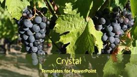  Presentation with vine - Presentation theme with grapes on the vine provence france background and a tawny brown colored foreground